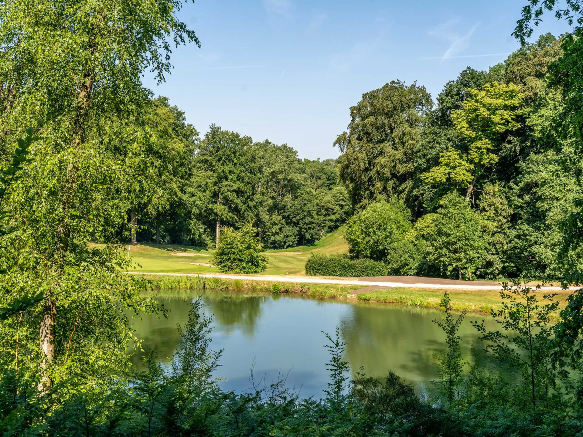 Rustige golfbaan met meer en bos op een zonnige dag